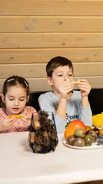 Reeducação Alimentar